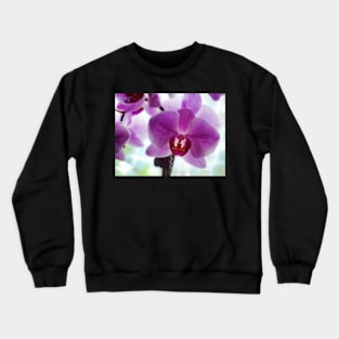 Purple Orchids Crewneck Sweatshirt